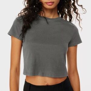 Aritzia | Sunday Best | Wash Grey Cropped Tshirt